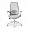 Ergonomic office chair with mesh back and soft fabric seat - 55 x 60 x 100cm