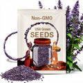 Purple Nicandra Seeds (30pcs), Low-Maintenance Flowers for Garden Edging, Indoor & Outdoor Planters
