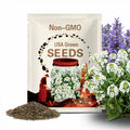Alyssum Wonderland White x 100 Seeds