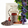 20 Purple Kyoho Grape Seeds/巨峰葡萄籽