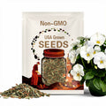 15+ Seeds| Cool Wave White Pansy Seeds - Self-Pollinating - Open-Pollinating- Draft Resistant -Plant in late Summer/Spring #147