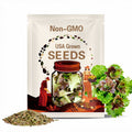 Lettuce four seasons seeds 100