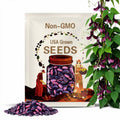 Scarlet Runner Bean Seeds: Heirloom Variety, Edible Pods (8 Grams)