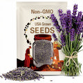 English Lavender Seeds (True Lavender) – Heirloom, Culinary & Medicinal Herb, Fragrant Flower and Mosquito Repellent | 100 Seeds