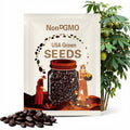 Pawpaw Seeds harvested September 2025
