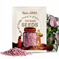Pink Caladium Bulbs seeds Non-GMO for Shade Gardens