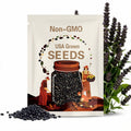 Oaxacan Black Bean Seeds: Rare Heirloom Variety, Non-GMO