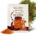 50 Orange Bamboo Seeds: Exotic Privacy Hedge Plant