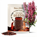 Chinese Redbud Tree (Cercis Chinensis) Seeds - NEW FOR FALL 2024