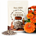 NEW! Benary's Giant Salmon Rose Zinnia Seeds, Largest Giant Zinnias 4 to 6" flowers, Zinnia Elegans