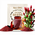 3000 CRIMSON CLOVER (Carnation, French, or Italian Clover) Trifolium Incarnatum Flower Seeds