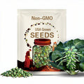 Brussel sprouts Divino seed 40
