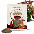 SEEDS - Begonia Amphioxus