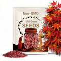 Red Maple Tree (Acer Rubrum) Seeds - Northern Variety