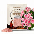 Blush Pink Vinca Seeds, Periwinkle, Catharanthus Roseus, Madagascar Periwinkle, Easy to Grow