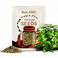 20 Holy Basil Seeds, 'Vana' Tulsi Basil Seeds, Wild Forest Tulsi Seeds, Florida Seeds, Seed The Stars, Ayurveda, Ayurvedic Plant, Herb Seeds