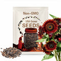 Chocolate Cherry Sunflower Seeds – 70+ Heirloom Non-GMO Seeds for Home Garden & Pollinator Plants