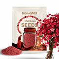 Crimson Baby's Breath Seeds | Gypsophila Elegans | Non-GMO | Flower Seeds | Seed Store | 1270
