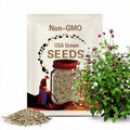 Gomphrena - QIS Mix Gomphrena (Globe Amaranth) Seeds (50 seeds)