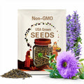 50pcs Rare Purple Teddy Bear Sunflower Seeds for Planting | Stunning Home Garden Blooms | Non-GMO Heirloom Garden | Easy Grow
