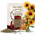 Prairie Sun Rudbeckia Seeds, Black Eyed Susan, Rudbeckia Hirta RU0925