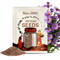NEW ENGLAND ASTER Seeds *Free Shipping!* Fresh & Organic Aster novae-angliae Seeds, Purple Outdoor Flower Seeds Bulk | Purple Aster