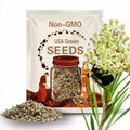 WHORLED MILKWEED Seeds *FREE Shipping!* Fresh & Organic Asclepias verticillata Butterfly Attracting White Perennial Flower Seeds Bulk