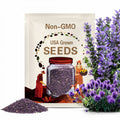 Purple Fringe Seeds, Blue Alpine Phacelia, Phacelia Sericea, PC0350