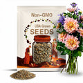 40 Seeds | Dinnerplate Break Out Dahlia Seeds - Pollinator Friendly- Open Pollinated - Heirloom - Flower Seeds - Mix Seeds -#D032.