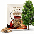 40 GIANT SEQUOIA Sequoiadendron Giganteum Sierra Redwood Tree Seeds * Flat Ship