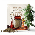 Jackson Supreme F1 Cucumber Seeds
