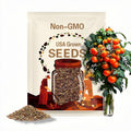 Russian House Tomato - Micro Tomato - 15 Organically Grown Seeds