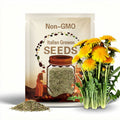Italian Dandelion  | Cichorium intybus | Heirloom Bitter Green | Fast Growing & Nutritious | Non-GMO | 100 Seeds