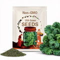 Kale Seeds - Vates Blue Scotch Curled - Non-GMO Heirloom