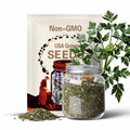50 LOVAGE Levistucum Officinale - Flavor like celery & anise - Herb Flower Seeds