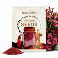 50Pcs Red Begonia Flower Seeds (5724)