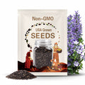 Five Spot Seeds (Nemophila maculata)