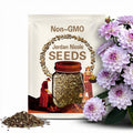 Jordan Nicole Dahlia Seeds - Perennial -Fast Growing - Open-Pollinating -Heirloom -Authentic - Clumping- Easy to Grow -B5G1#D062