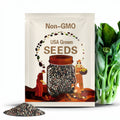 Chinese Broccoli, White-flowering Broccoli, Kai-lan, Chinese Kale SEEDS |Non-GMO, Organic | Treevales
