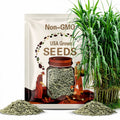 Elephant Grass Seeds