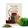Escarole de louviers seeds 40