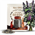 40 Galaxy of Stars Eggplant Seeds. Ships free