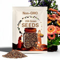 NEW! 5 Double Sunrise Joybera Gerbera Daisy Seeds, Gerbera Jamesonii GE1005