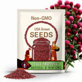 7,900 Crimson Clover Seeds | Wildflower Gardening Pollinator Plant Seed Packet for Bees & Butterflies, Lawn Cover Crop, Trifolium incarnatum