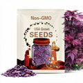 Purple Ghost Japanese Maple Tree (Acer Palmatum 'Purple Ghost') Seeds