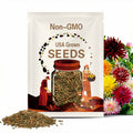 Dahlia Seeds - Dahlia Variabilis Cactus Mix Flower Seed - 1000 Seeds