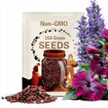 RARE- Hibiscus Black Red Giant-Gorgeous Flower-Can grow Indoors  or Out-2,5 or 10 SEEDS + instructions Fresh Harvested Fast D