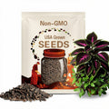 25+ Black Coleus Seeds | Bold Ornamental Foliage | Easy Garden Plant