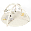 Organic Cotton Cozy Baby Playmat with Mirror, Tummy Pillow and 6 Toys